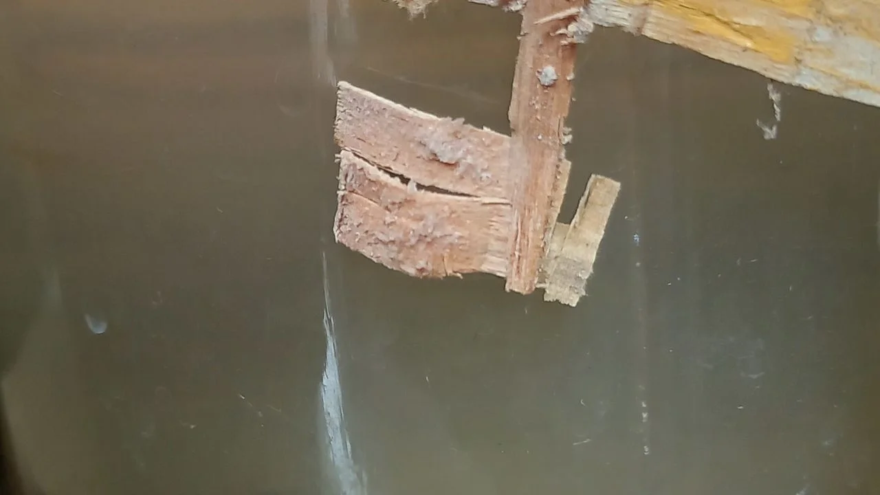 Fransızca ile Günlük Konuşma Pratiği: Etkili Yöntemler